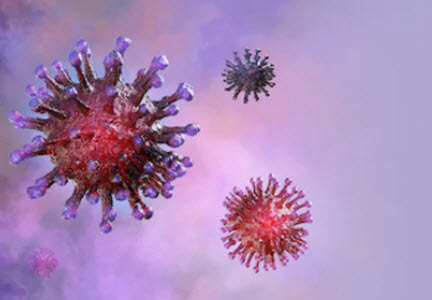 Coronavirus Coronavirus